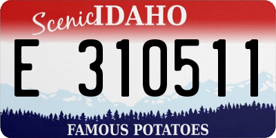 ID license plate E310511