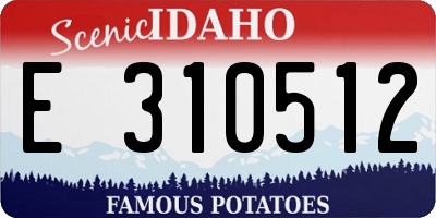 ID license plate E310512