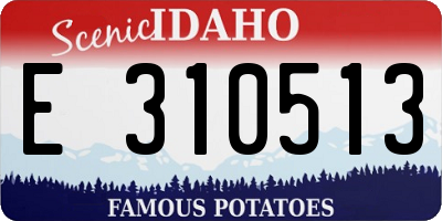 ID license plate E310513