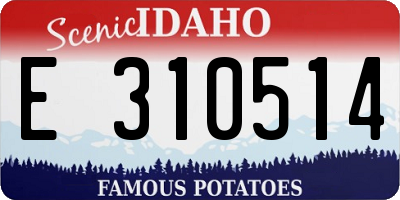 ID license plate E310514