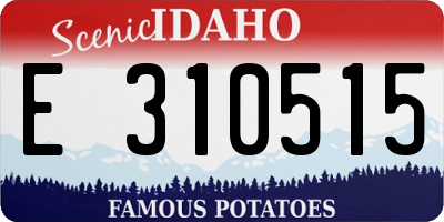 ID license plate E310515