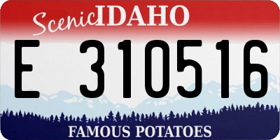 ID license plate E310516