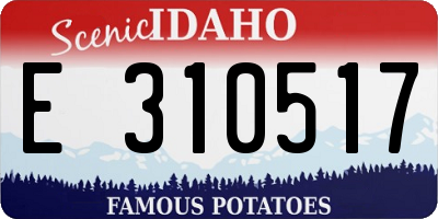 ID license plate E310517