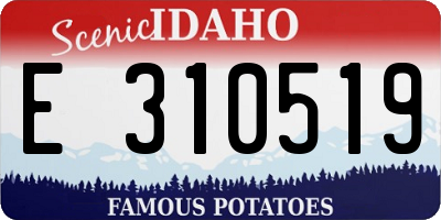 ID license plate E310519