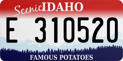 ID license plate E310520