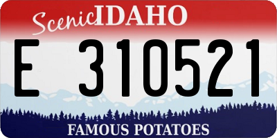 ID license plate E310521