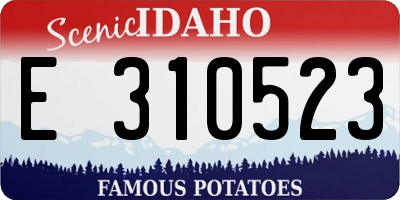 ID license plate E310523