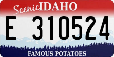 ID license plate E310524