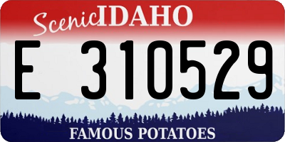 ID license plate E310529