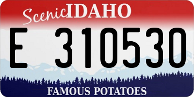 ID license plate E310530