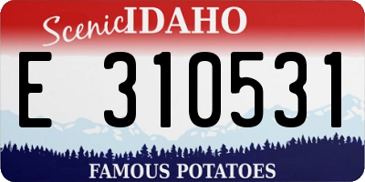 ID license plate E310531