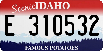 ID license plate E310532
