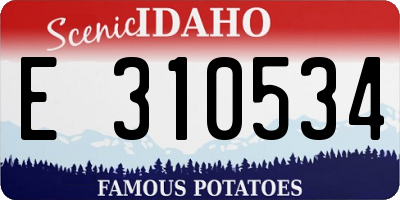 ID license plate E310534