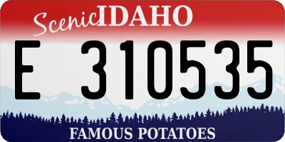 ID license plate E310535