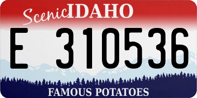 ID license plate E310536