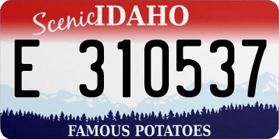 ID license plate E310537