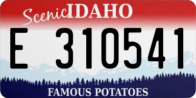 ID license plate E310541