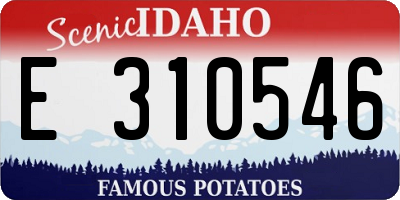 ID license plate E310546