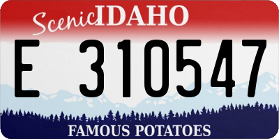 ID license plate E310547