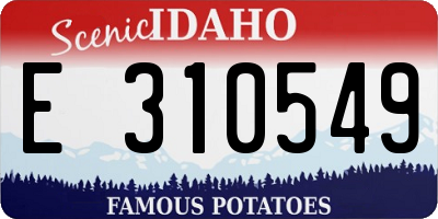 ID license plate E310549