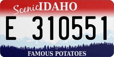 ID license plate E310551