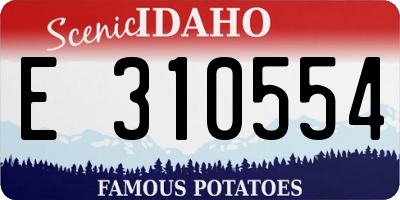 ID license plate E310554