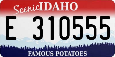 ID license plate E310555
