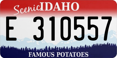 ID license plate E310557