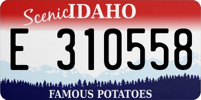 ID license plate E310558