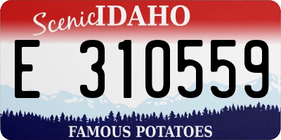 ID license plate E310559