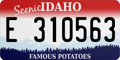 ID license plate E310563