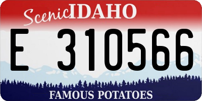 ID license plate E310566