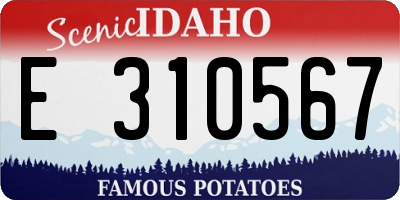 ID license plate E310567