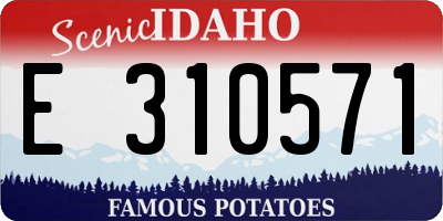 ID license plate E310571