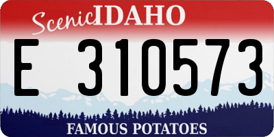 ID license plate E310573