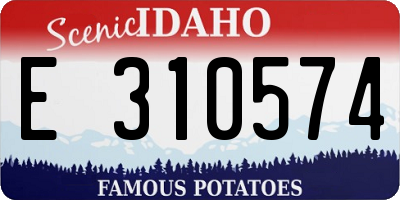 ID license plate E310574