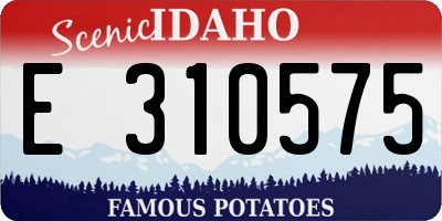 ID license plate E310575