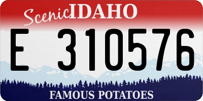 ID license plate E310576