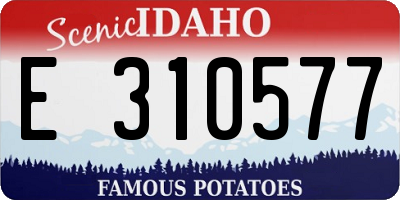 ID license plate E310577