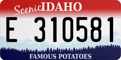 ID license plate E310581