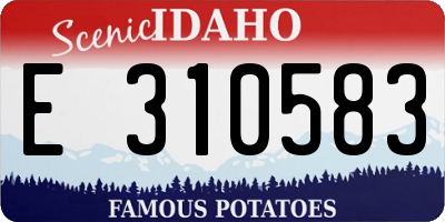 ID license plate E310583