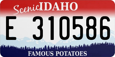 ID license plate E310586