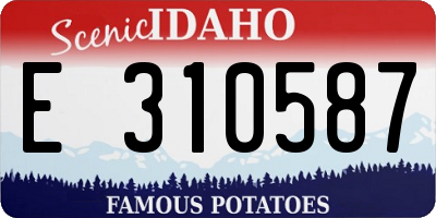 ID license plate E310587