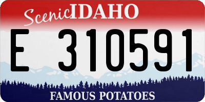ID license plate E310591