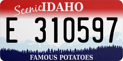 ID license plate E310597