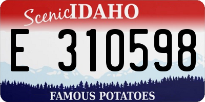 ID license plate E310598