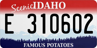 ID license plate E310602