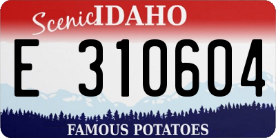 ID license plate E310604