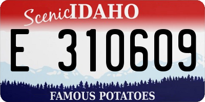 ID license plate E310609