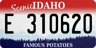 ID license plate E310620